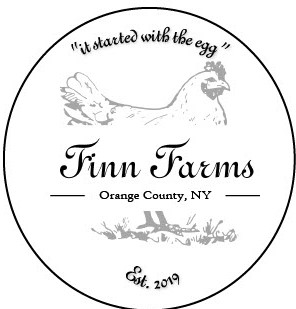 Large Eggs - Finn Farms - New York